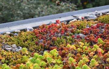 the cost of Brydekirk green roof installation