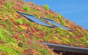 Brydekirk living roof systems