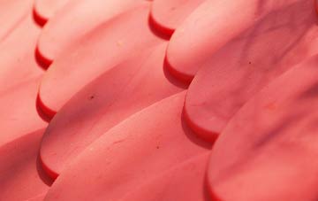 Brydekirk plastic roof costs